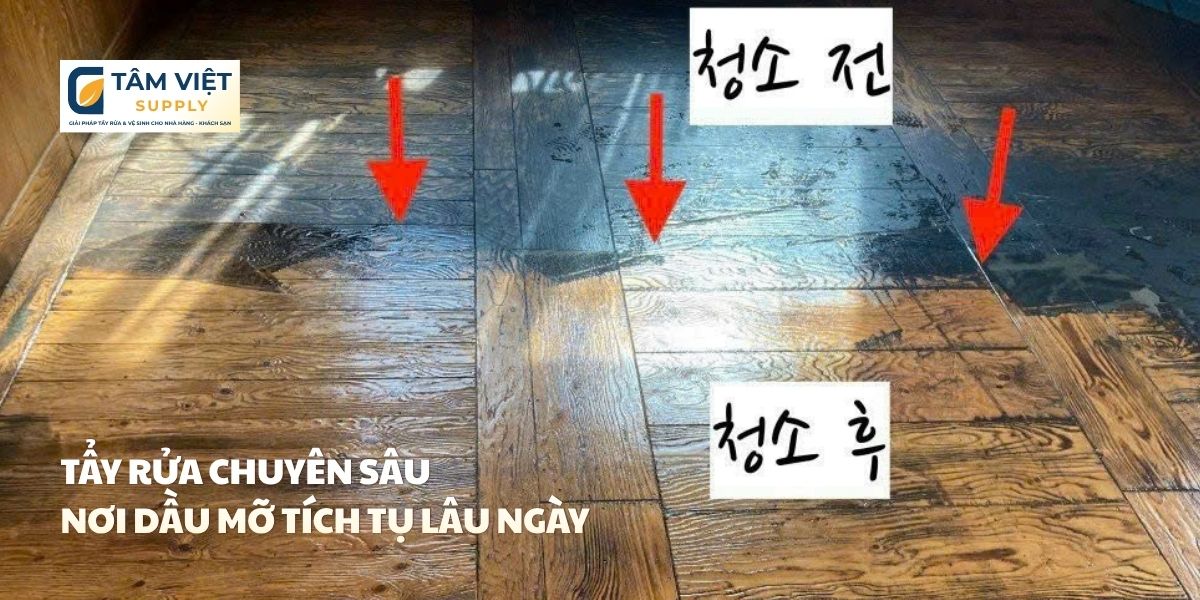 oven cleaner tẩy dầu mỡ nhà bếp tâm việt supply